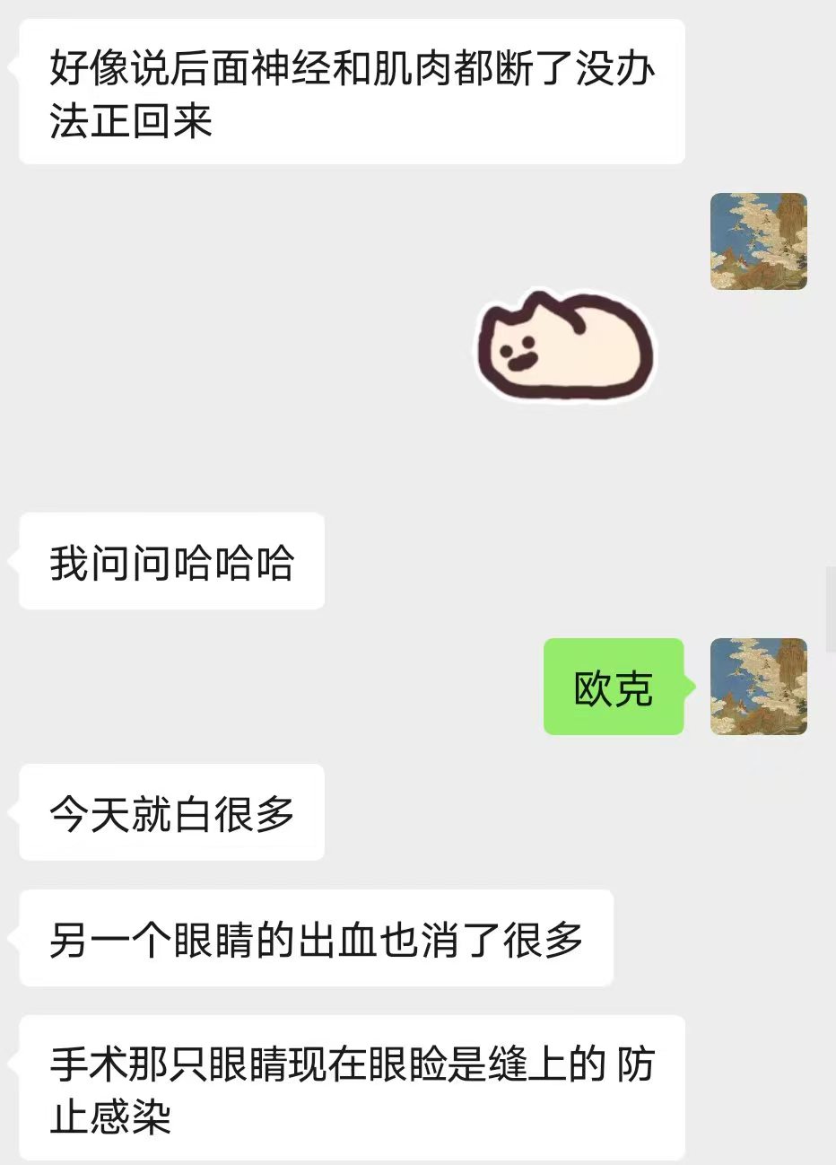 c6b3c114cac757ab63e0ff5198f302b5.jpg