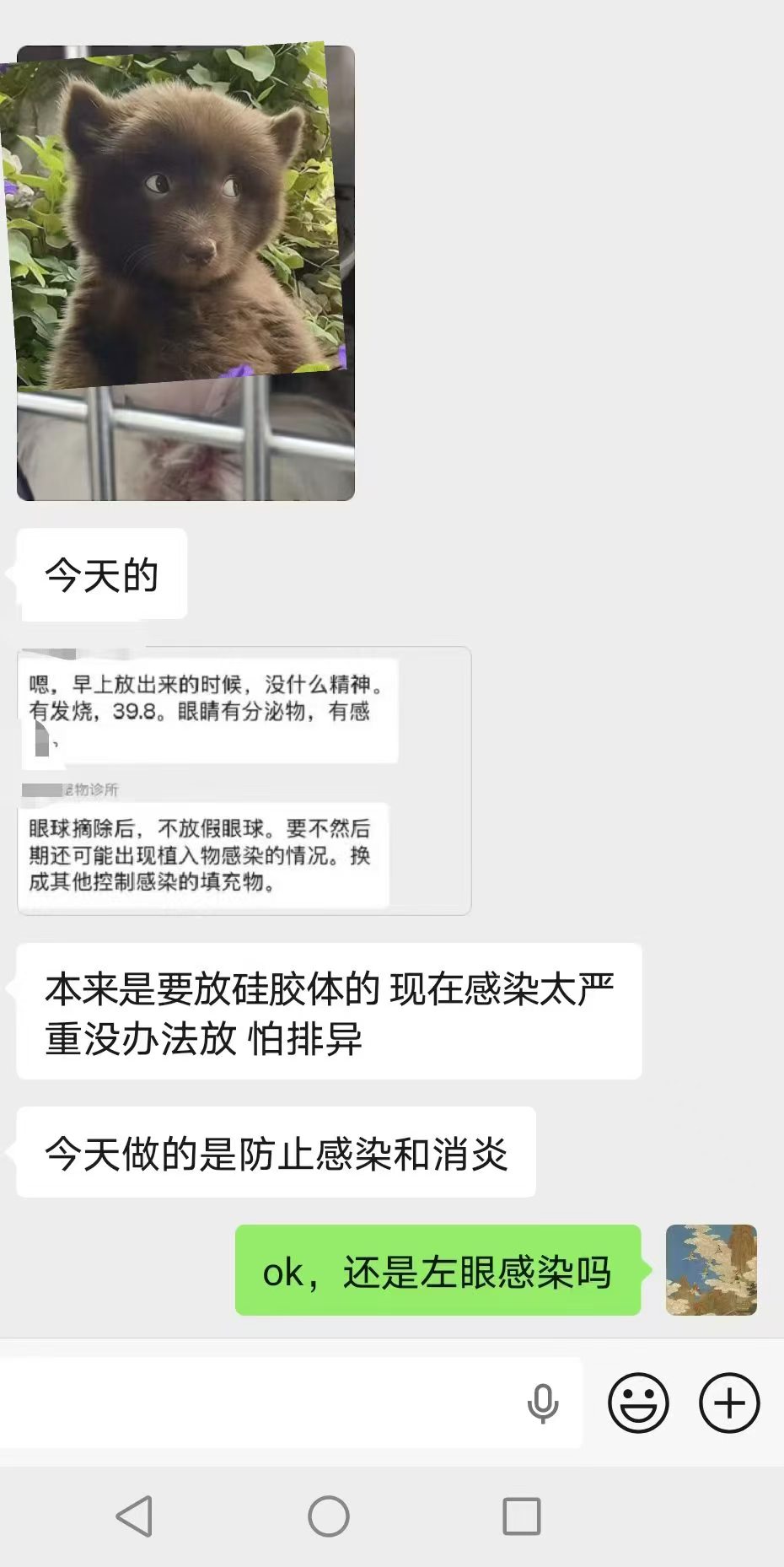 3d63fb26659ed56fd7a0b2d9ffd4ccdc.jpg